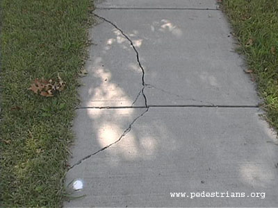 Cracked sidewalk